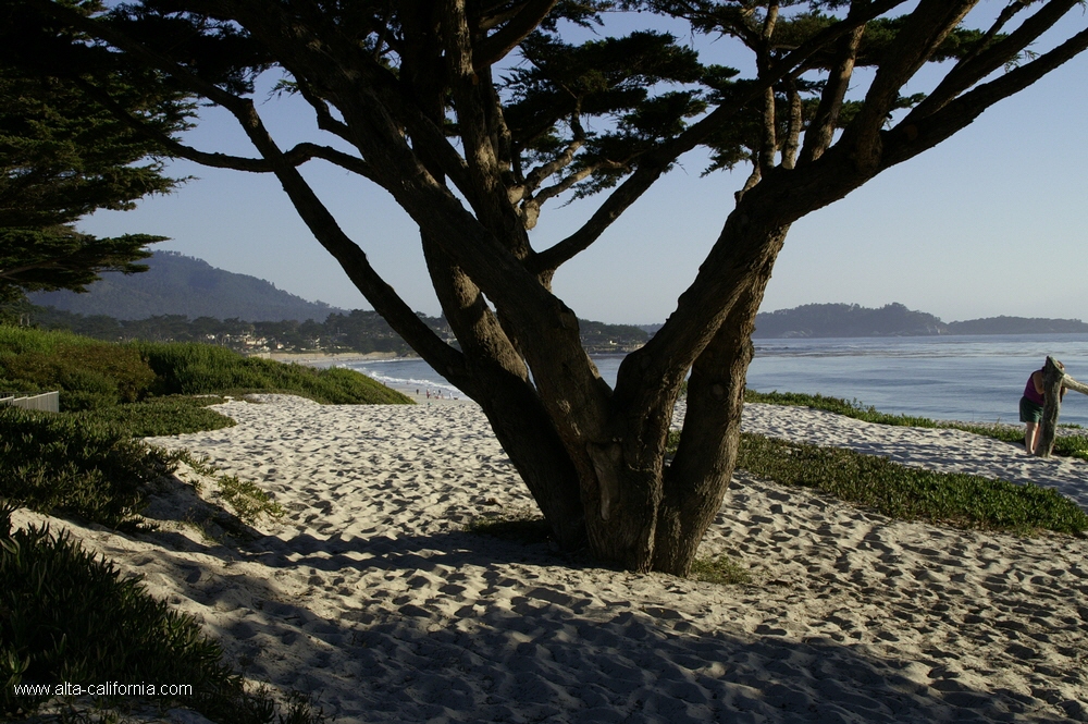 california,carmel by the sea