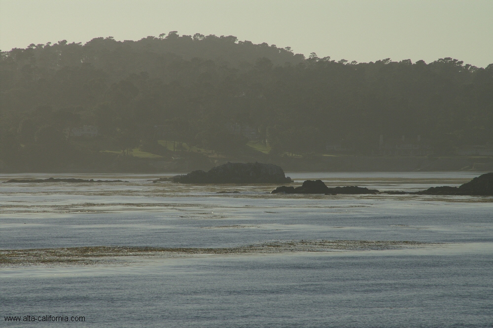 california,carmel by the sea