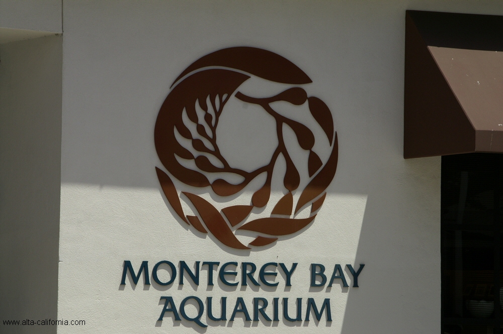 california,monterey aquarium