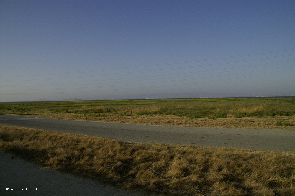 california,palo alto,baylands