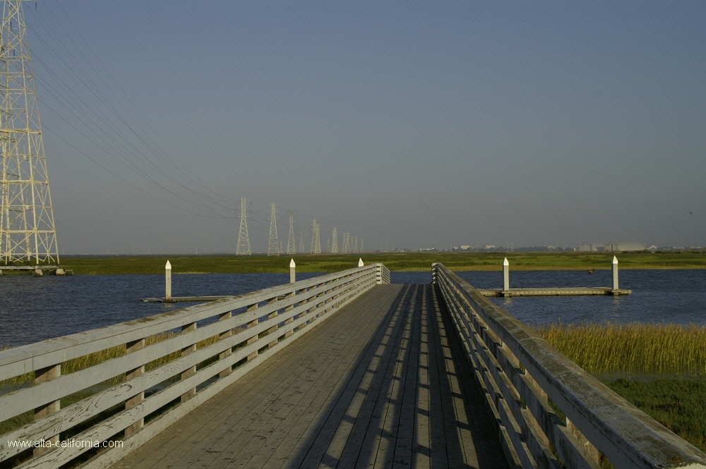 california,palo alto,baylands