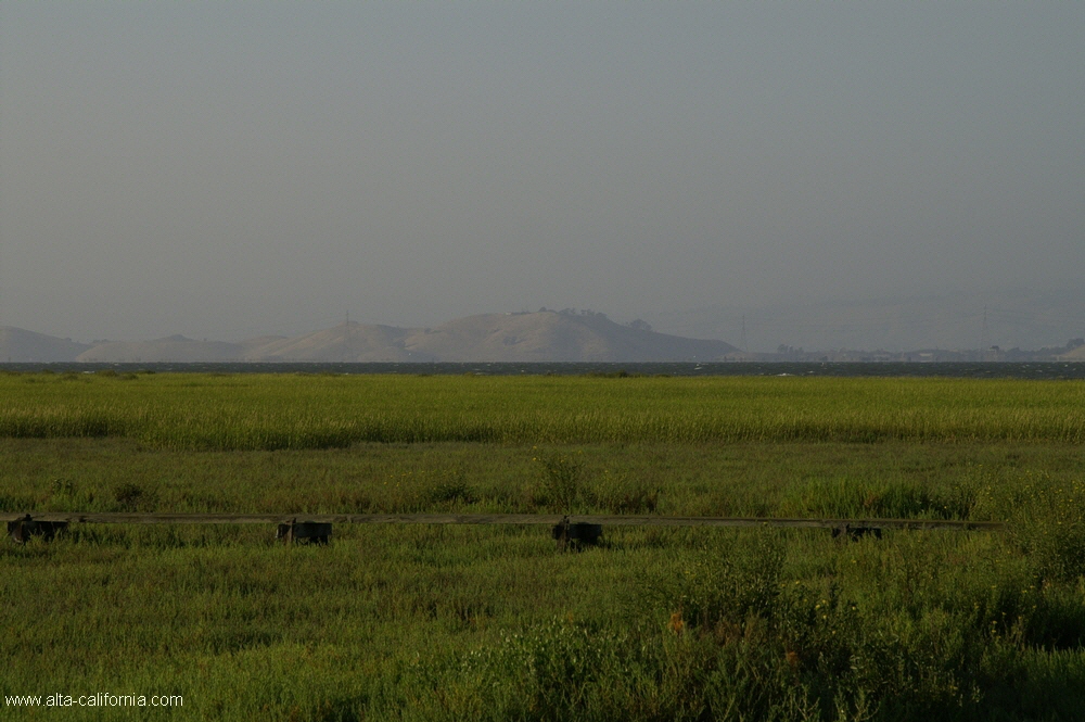 california,palo alto,baylands