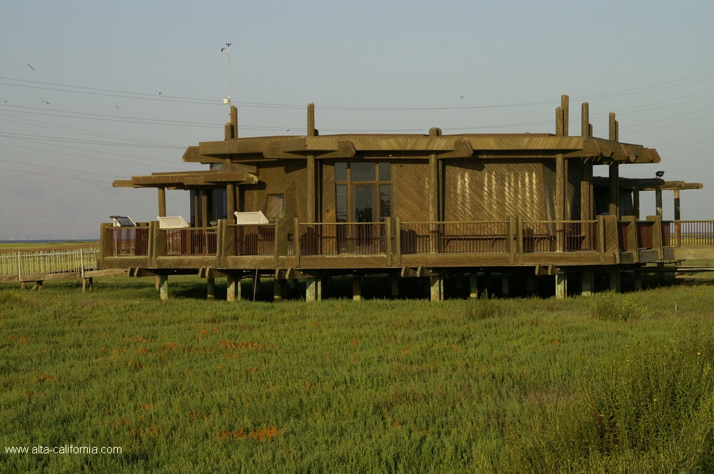 california,palo alto,baylands