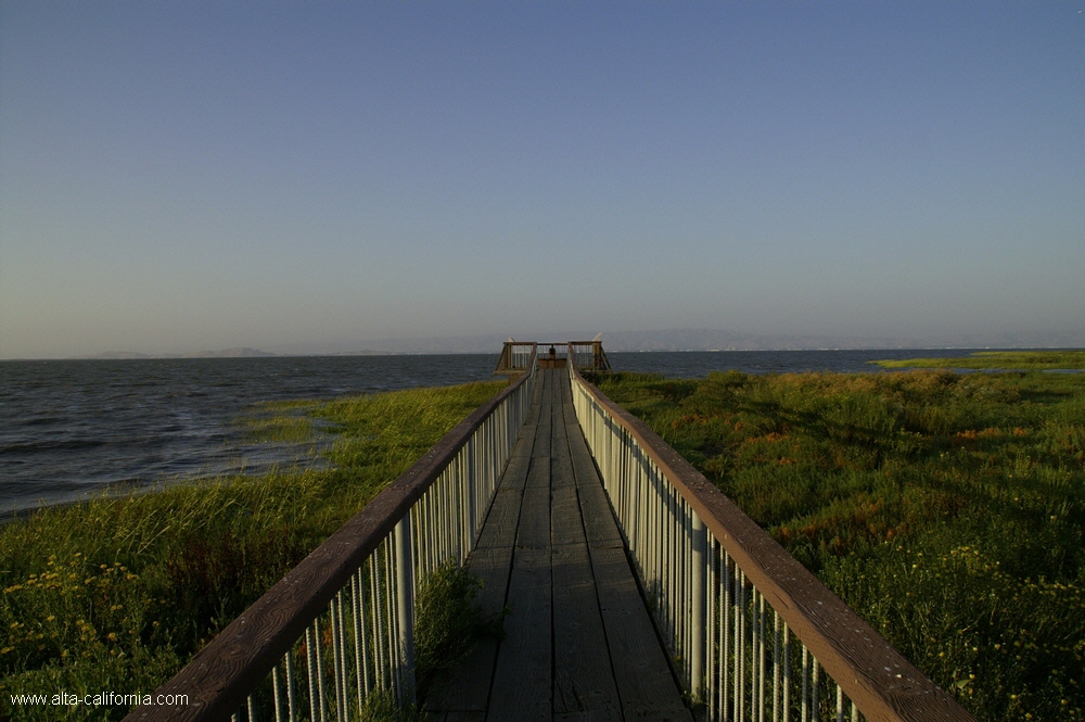 california,palo alto,baylands