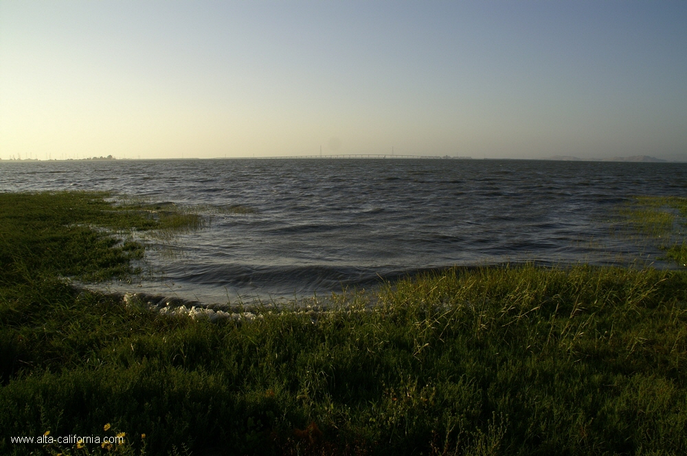 california,palo alto,baylands