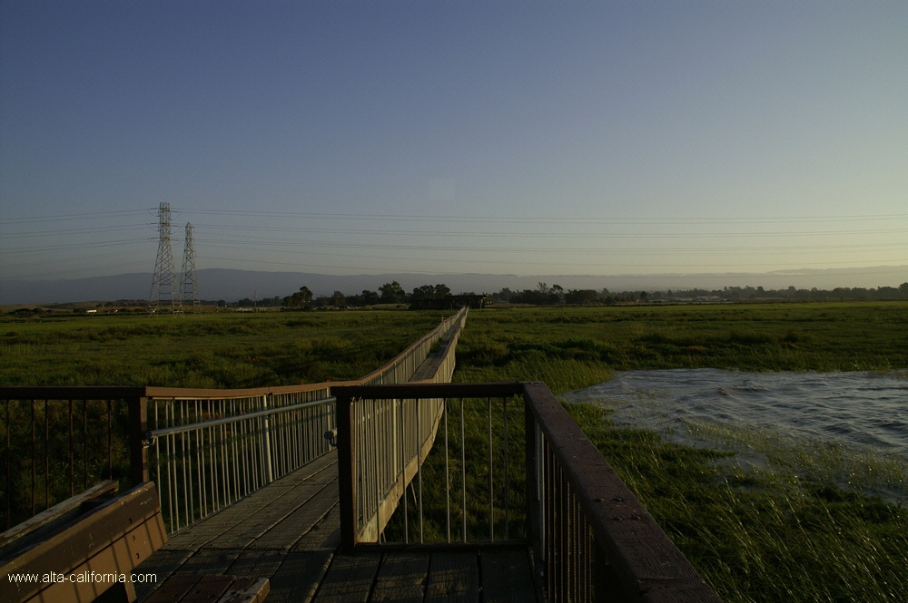 california,palo alto,baylands