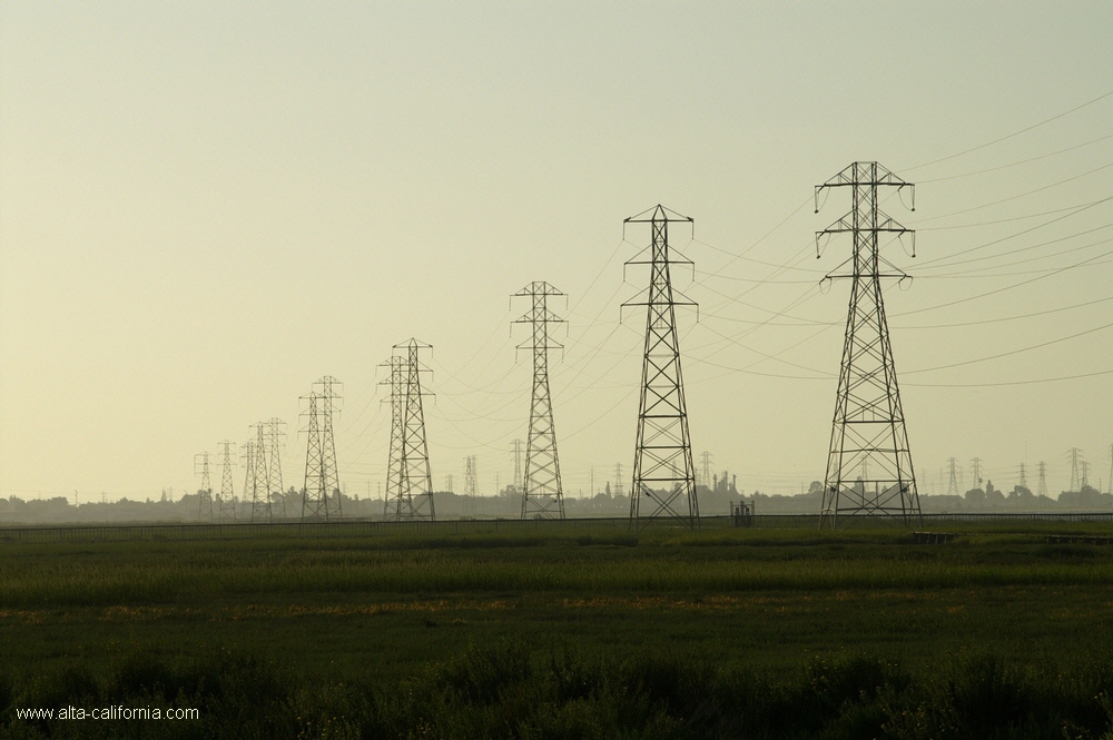 california,palo alto,baylands