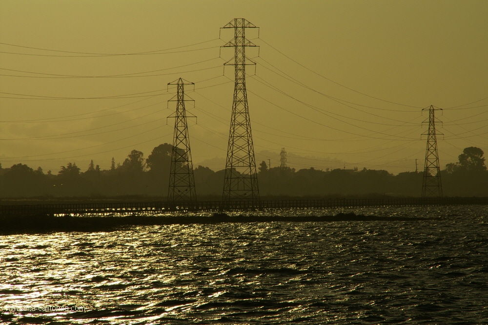 california,palo alto,baylands