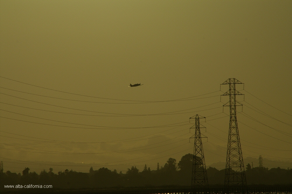 california,palo alto,baylands