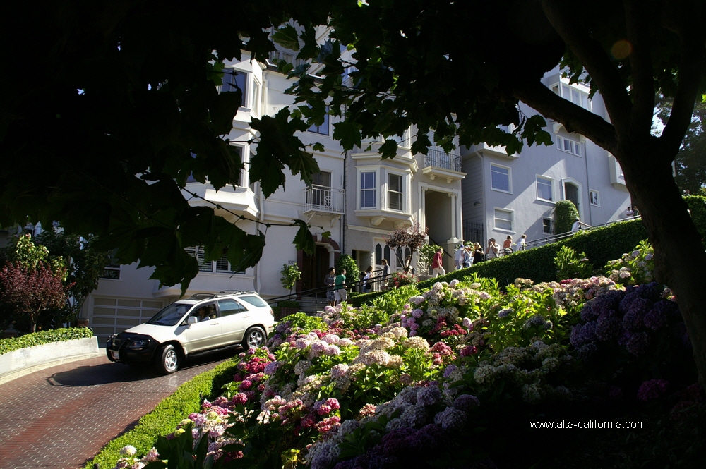 california,san francisco,russian hill,lombard street