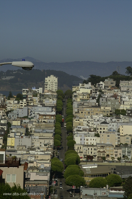 california,san francisco,russian hill,lombard street