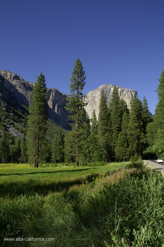 californie_californie_yosemitenationalpark_yosemitevalley