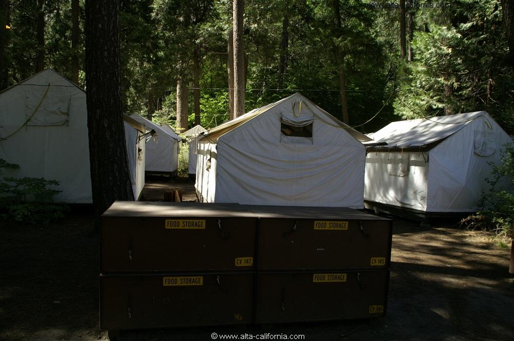 california sierra nevada yosemite national park yosemite valley curry village food storage