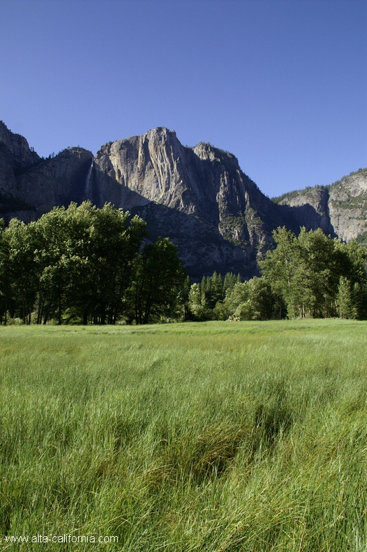 californie_californie_yosemitenationalpark_yosemitevalley_prairie