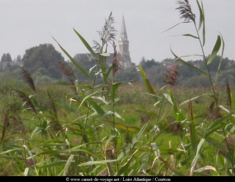 http://www.carnet-de-voyage.net_bretagne_44_loireatlantique_couron_audubon